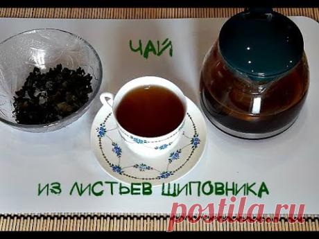 🍇Чай из листьев шиповника. Ферментация...