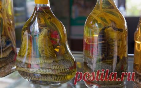 Список самых странных блюд со всего мира | Чёрт побери Предупреждаем: некоторые блюда могут показаться вам довольно мерзкими. Но раз они существуют, значит, кто-то хочет, чтобы они были? Змеиное вино - Юго-Восточная Азия   Суп из съедобных птичьих гнезд - Юго-Восточная Азия  Хаш - Средний Восток, Восточная Европа и Турция  Глаза тунца - Япония  "Черный пудинг" (кровяная колбаса) - Африка, Северная Америка, Южная Америка, Азия, Европа  Сюрстрёмминг (консервированная квашена...