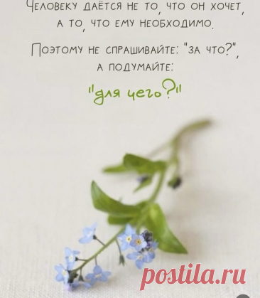 c3cb33b4.jpg (828×949)