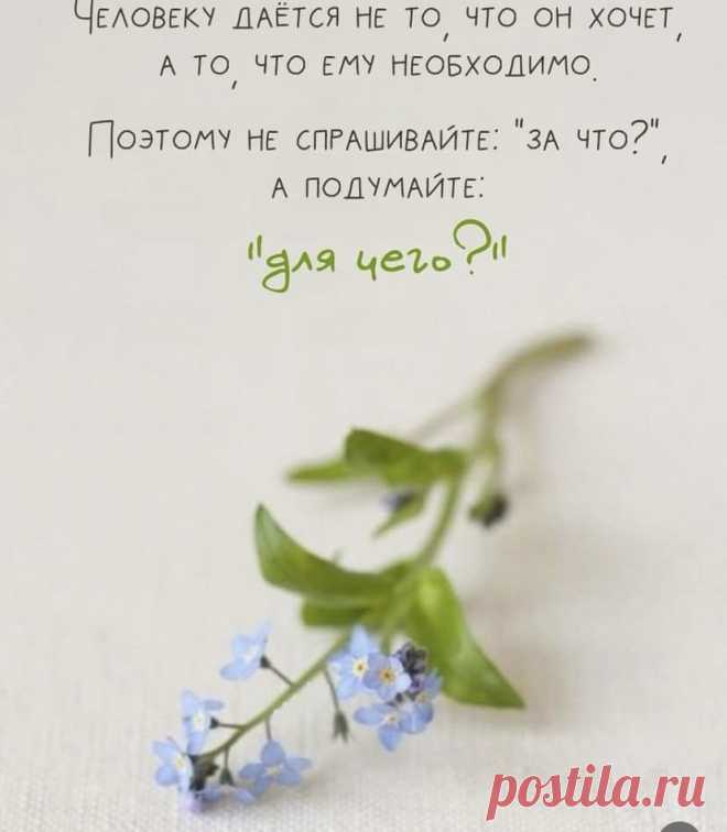 c3cb33b4.jpg (828×949)