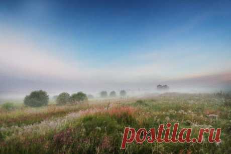 Максим Вейзе