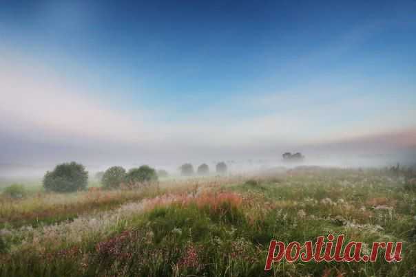 Максим Вейзе