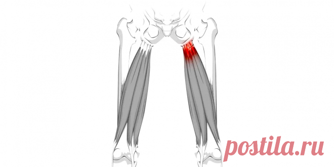 Мышцы задней поверхности бедра. Самомассаж