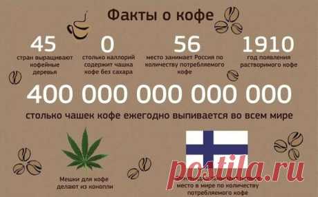 Интересные факты о кофе