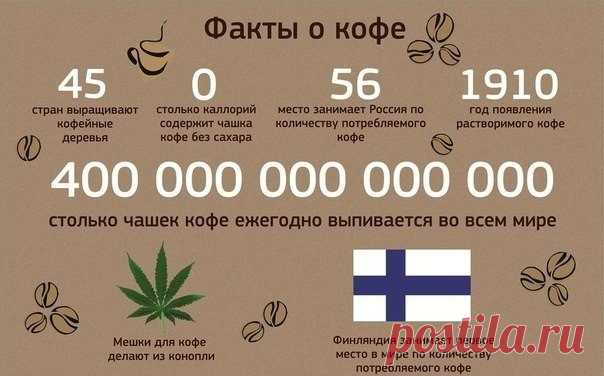 Интересные факты о кофе