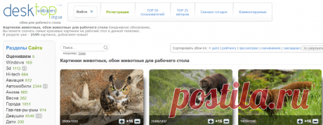 Картинки животных, обои животные для рабочего стола