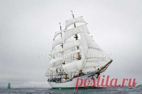 Альбом 19 «Галерея 19« Tall Ship расы