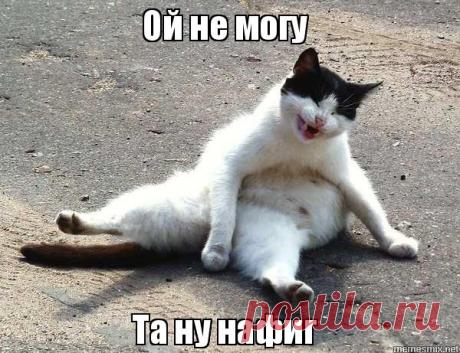 original.jpeg (600×461)