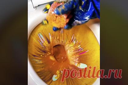 Девушка показала опасный способ почистить унитаз и подверглась критике в сети. Пользовательница TikTok показала опасный способ почистить туалет и подверглась критике в сети. Блогерша с никнеймом crumblesqueen регулярно публикует на своей странице ролики, на которых демонстрирует чистку унитаза с помощью средств ярких цветов. Однако одно из последних видео показалось комментаторам вредоносным.