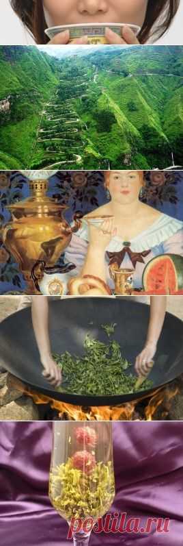 Чайные традиции мира"Чай - это ритуал, который занимает свое место в самом
сердце нашей способности видеть величие в мелочах."
Мюриэль Бербери
 
"Чашка горячего чая могла бы восстановить мою нормальность»
Дуглас Адамс (Автостопом по Галактике)
"Я говорю - пусть мир отправиться в ад,
но у меня всегда должен быть мой ​​чай."  
Ф.Достоевский (Записки из подполья)