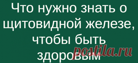 Что нужно знать о щитовидной железе, чтобы быть здоровым
Важный и довольно крупный орган в эндокринной системе — щитовидная железа. Основная ее функция — синтез гормонов, стабилизирующих гомеостаз, состояние, определяющее полноценное функционирование всех органов. Располагается железа в достаточно уязвимом месте — в нижнем треугольнике шеи. В детском возрасте щитовидка находится ровно на...
Читай дальше на сайте. Жми подробнее ➡