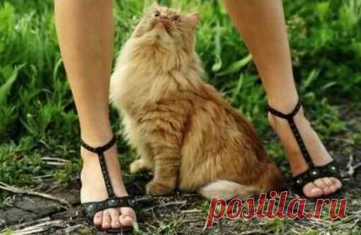 Мой Мир@Mail.Ru