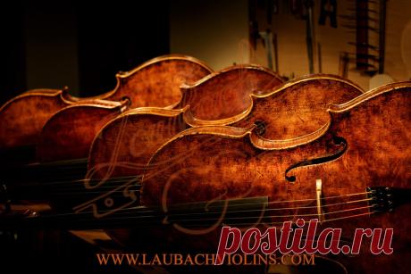 Laubach Antique look Master Cello - Laubach violin workshop