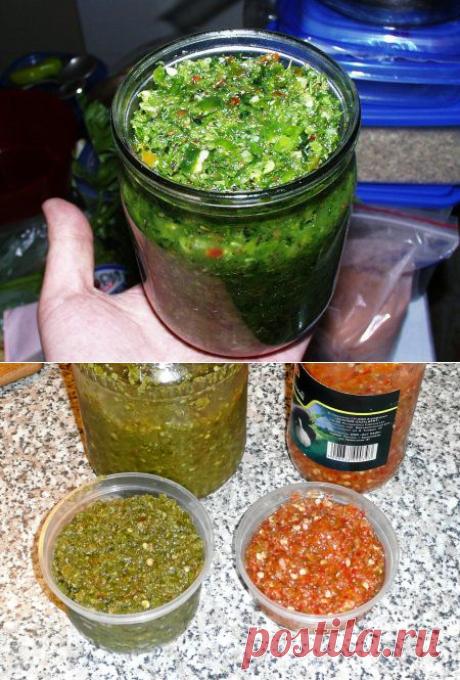Зеленая аджига | Четыре вкуса
