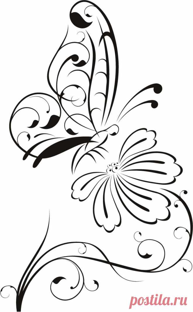 Flower Outline Drawings | Butterfly on Flower Outline Floral Wall Decal Wall Stickers Transfers