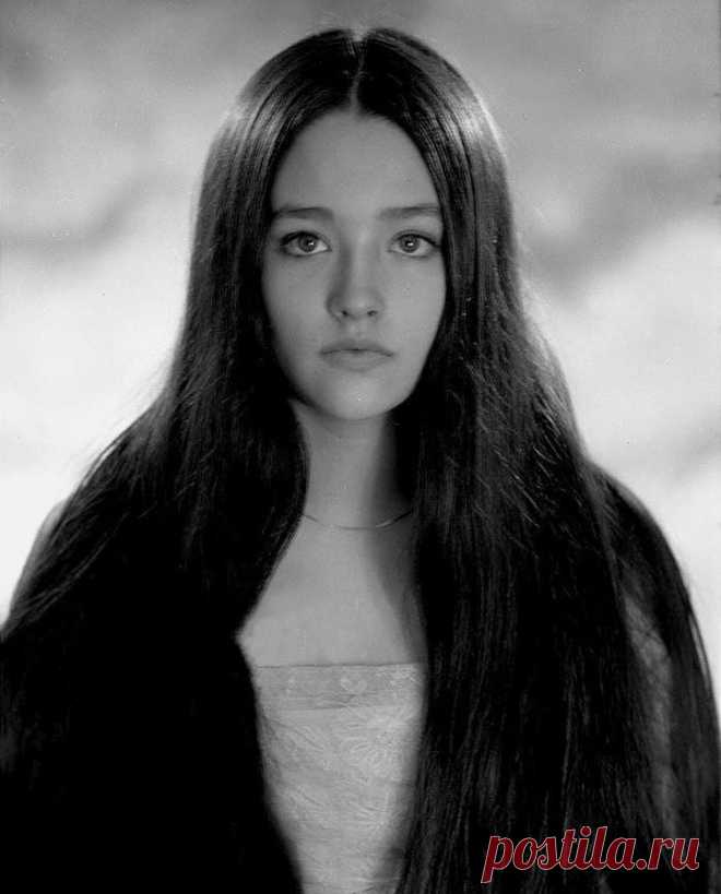 Оливия Хасси