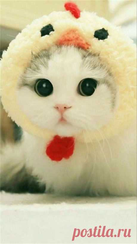 Pinterest