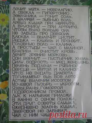 САД, ОГОРОД, ДАЧА, ЦВЕТЫ - МОЁ ХОББИ
LIDIA PASICHNYK-ІЛЬНИЦЬКА