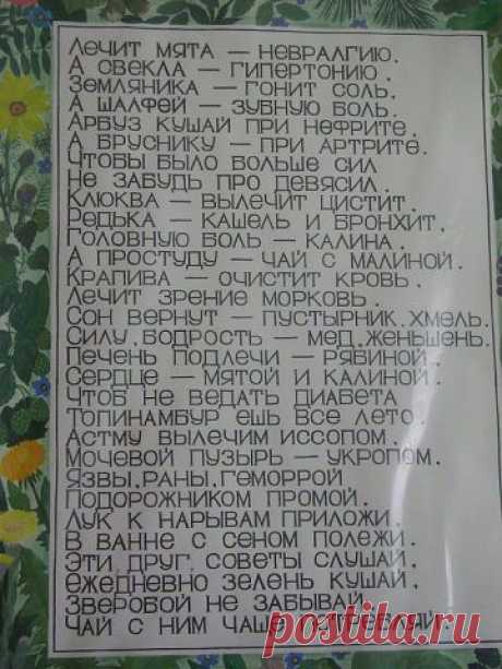 САД, ОГОРОД, ДАЧА, ЦВЕТЫ - МОЁ ХОББИ
LIDIA PASICHNYK-ІЛЬНИЦЬКА