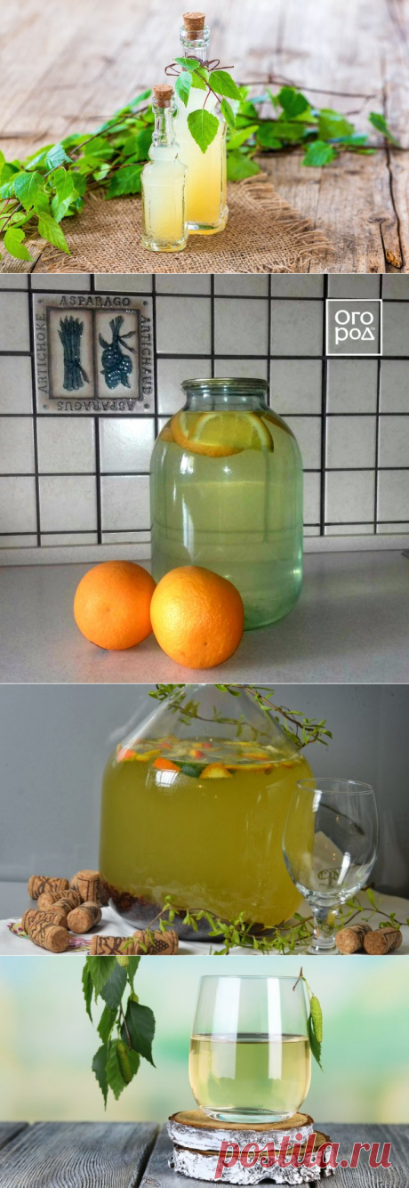 КОГДА И КАК ПРАВИЛЬНО СОБИРАТЬ БЕРЕЗОВЫЙ СОК И ЧЕМ ОН ПОЛЕЗЕН