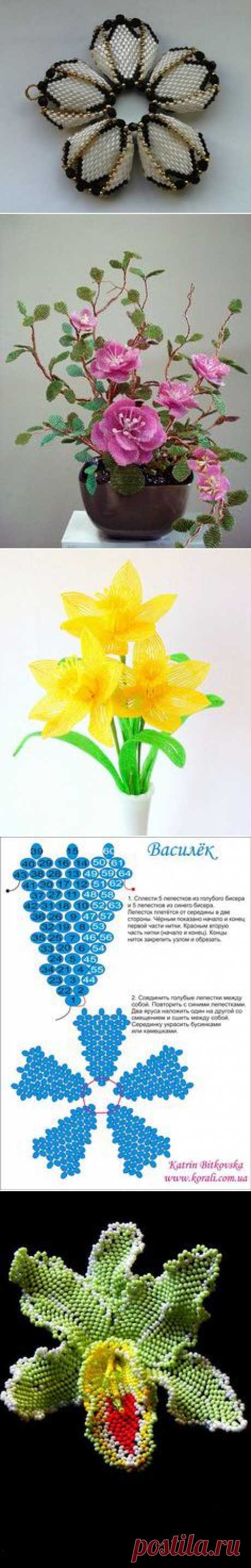 цветы в Pinterest