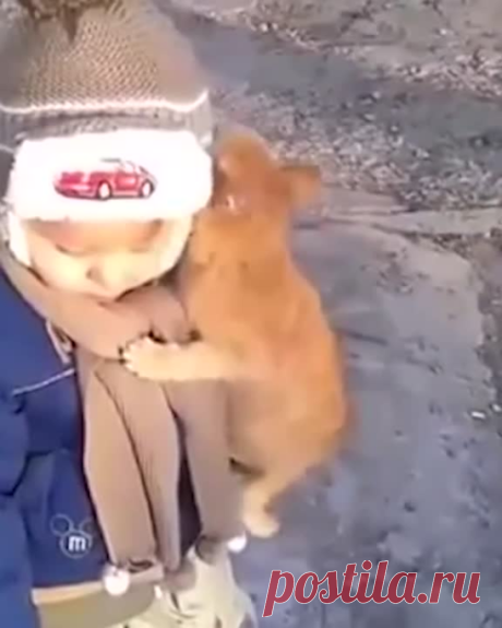 Котейка сделал свой выбор