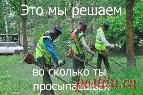 Одноклассники