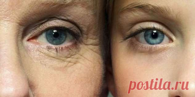 13 продуктов, которые крадут твою молодость! | Люблю Себя