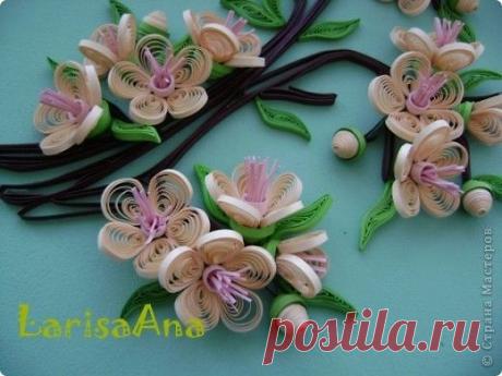 Цветущий персик!!!!!!! | Страна Мастеров