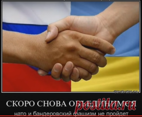 Потому что мы хохлы. Песня "Спасибо за всё пидарасам Майдана" (18+). низ