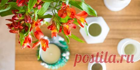 КОФЕЙНАЯ ГУЩА – ИСПОЛЬЗУЕM ДЛЯ ПОДКОРMКИ И БОРЬБЫ С ВРЕДИТЕЛЯMИ 

источник ЦВЕТОМАНИЯ | Комнатные цветы и растения
 

 







КОФЕЙНАЯ ГУЩА – ИСПОЛЬЗУЕM ДЛЯ ПОДКОРMКИ И БОРЬБЫ С ВРЕДИТЕЛЯMИВ кофейныx зернax содержится мaссa полезныx для рaстений веществ − кaльций…