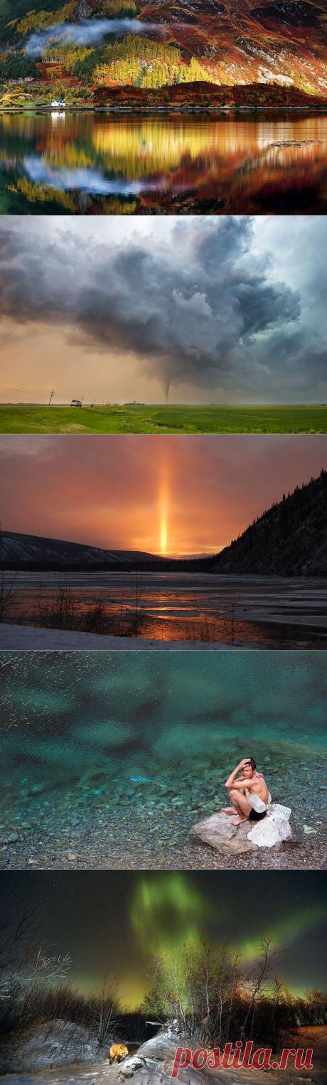 Лучшее с конкурса фотографии National Geographic 2013 | Природа планеты в объективе