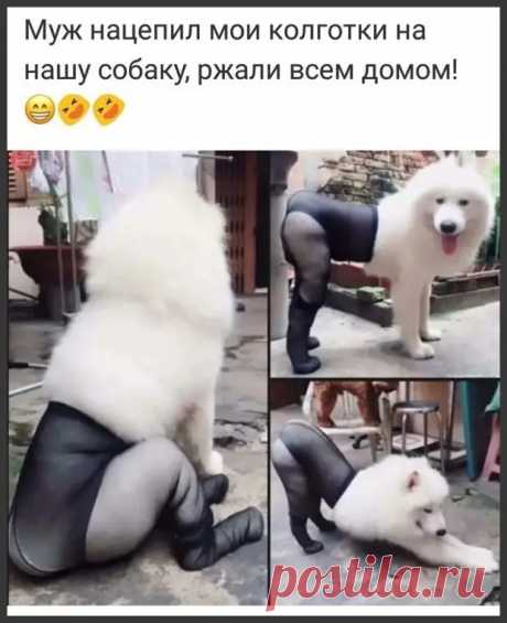 Тяжело всё-таки быть женщиной! Постоянно хочется чего-нибудь купить... - Смехопанорама - медиаплатформа МирТесен