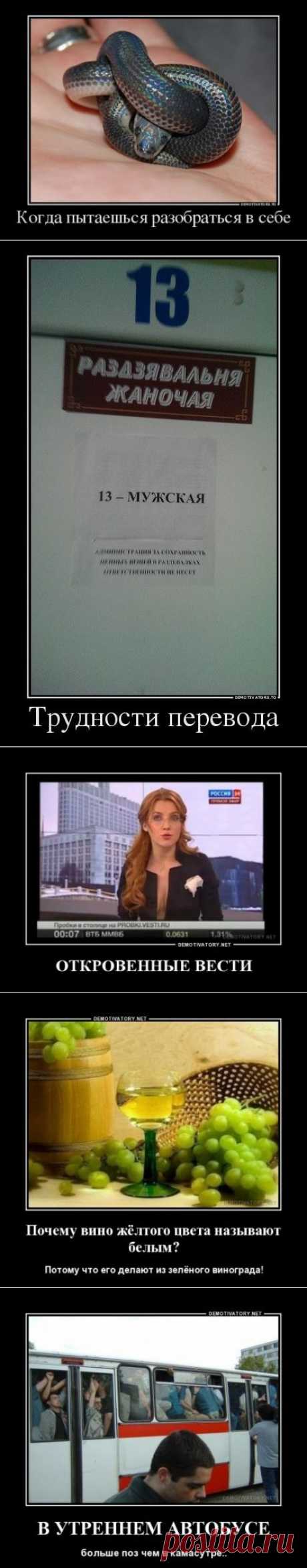 Демотиваторы на Бугаге (18 шт)