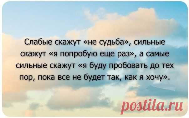 Мои закладки