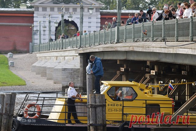 Возвращение легендарного зайца Арсения к Петропавловской крепости. Сегодня заяц Арсений вернулся на свое место возле Петропавловской крепости после реставрации.