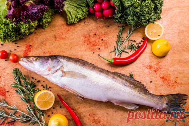 Ностальгический советский рецепт приготовления судака: вкусно и полезно
Еще одно советских времен блюдо, упоминание которого у многих вызывает повышенное слюноотделение: судак по-польски. Забавно, но в Польше я ничего похожего не встречал, так что считать судака под польским соусом именно польским специалитетом, как минимум — наивно, однако в наших кафе и ресторанах он всегда шел на ура....
Читай дальше на сайте. Жми подробнее ➡