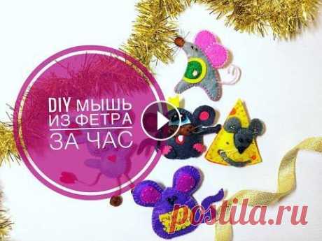 DIY Мышь из фетра за час своими руками / felt mouse Сегодня будем шить с вами 4 варианта мышек из фетра. Своими руками за час вы можете сшить один из символов 2020 года. Можно носить как брошь, как укра...