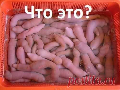 А вы знаете что это? | Мамам, женщинам, бабушкам и очень любознательным.