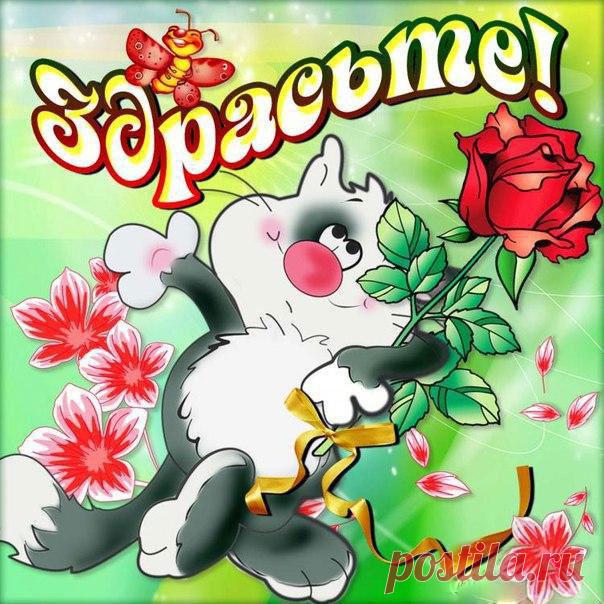 Привет открытки с надписью  Пожелания открытки Привет