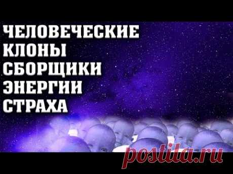 Человеческие клоны сборщики энергии страха