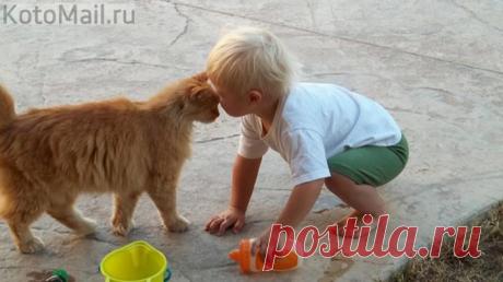 Наполняем друг друга радостью