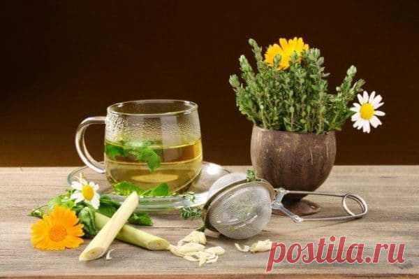 Успокаивающие Чаи Для Детей и Взрослых – Рецепты
