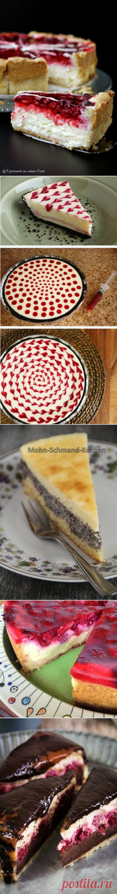 Experimente aus meiner Küche: Pudding-Schmand-Kuchen mit Himbeeren | Experimente aus meiner Küche