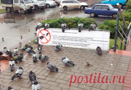 10 принципов экозащитников, которые оказались не более чем фикцией