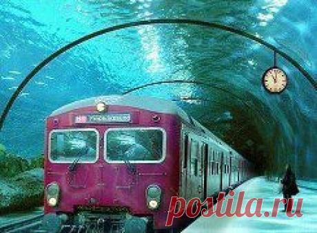 (32) Одноклассники