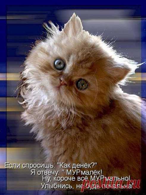 Мой Мир@Mail.Ru