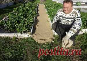 КАК СДЕЛАТЬ ЧТОБЫ В ПРОХОДАХ МЕЖДУ ГРЯДКАМИ ТРАВА НЕ РОСЛА