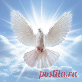 ╭დ╯СВЕТ ДУШИ╭დ╯