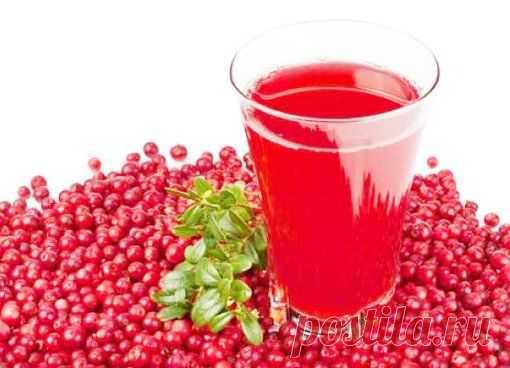 Морс из клюквы